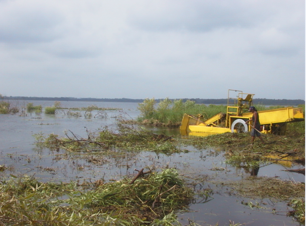 Removal of Lakefront Vegetation Johns Lake Association